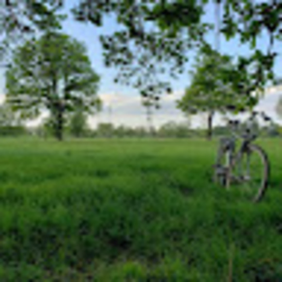 Meet your Posher, Jason - Picture 1 of 1